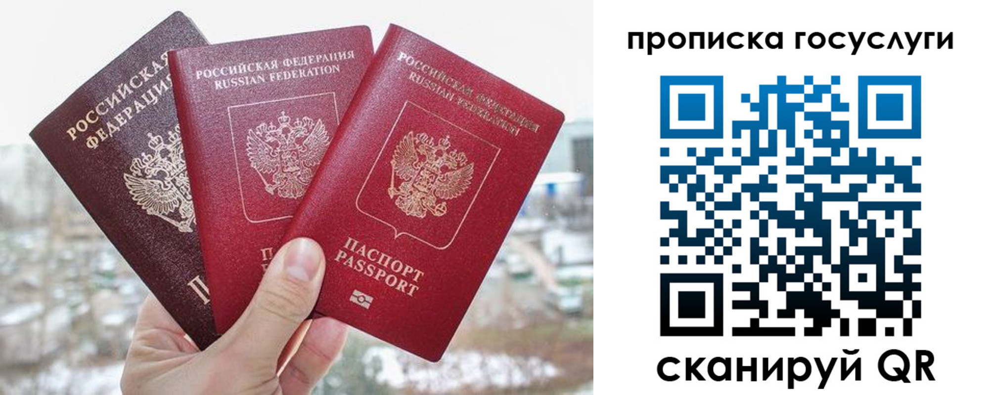 прописка законно в Пскове